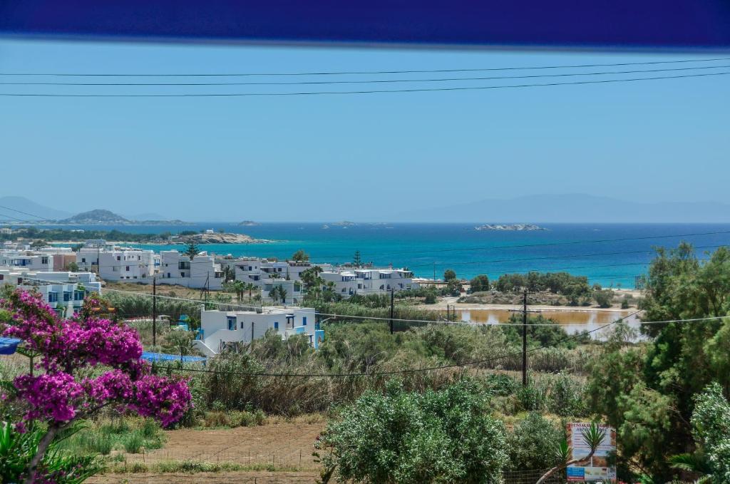 آغيوس بروكوبيوس Studios Tasia المظهر الخارجي الصورة
